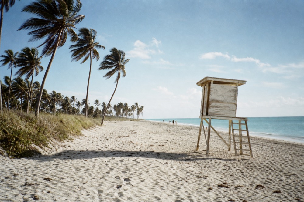 Wide Fort Lauderdale beach with palm trees and ocean horizon, no text, no logos, no people.